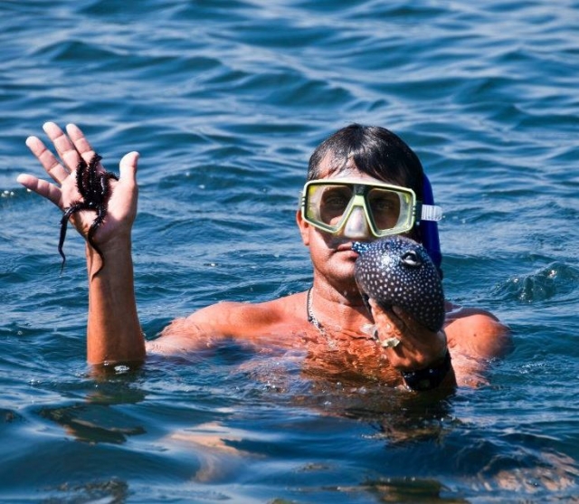 habitantes del oceano